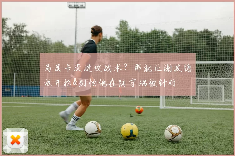 乌度卡没进攻战术？那就让谢泼德放开抡&别怕他在防守端被针对