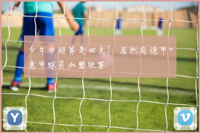 今年中超算是回光！ 居然有德甲+意甲球员加盟联赛