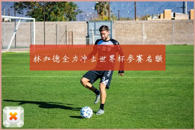 林加德全力冲击世界杯参赛名额