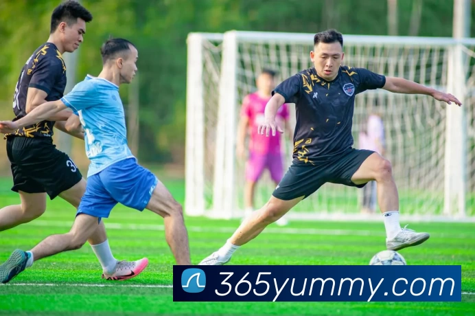 开云·kaiyun体育(中国大陆)官方网站 登录入口服务体系